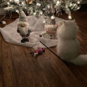 Meet your Posher, Nancy